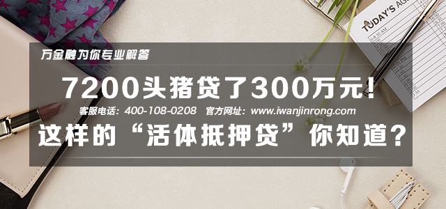 7200头猪贷了300万元！这样的“活体抵押贷”你知道吗？